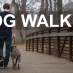 Curso de Dog Walker Passeador de cães