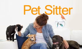 Curso de Pet Sitter